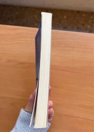 El camino (Spanish Edition)