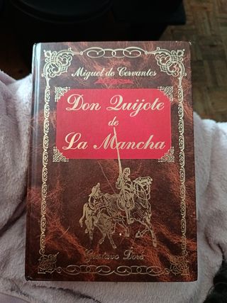 Don quijote de la Mancha