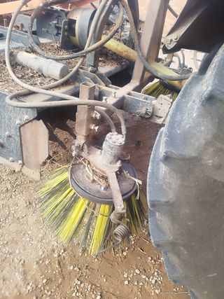 Barredora sarmientos