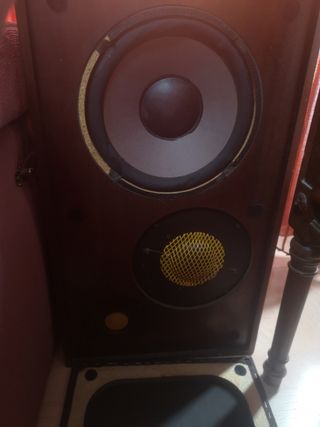 Altavoces vintage Perfectos!