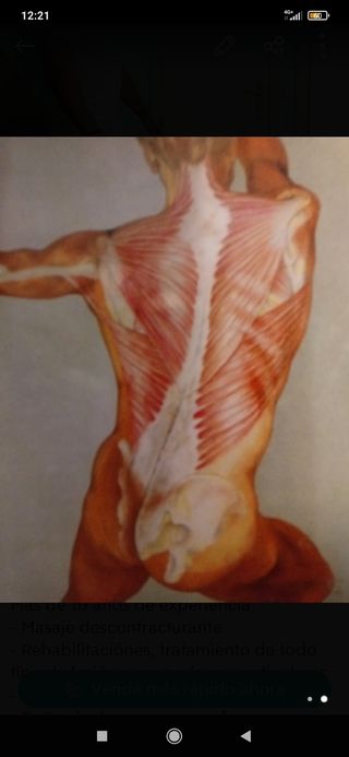Técnico Quiromasajista, osteópata. OFERTA OCTUBRE 