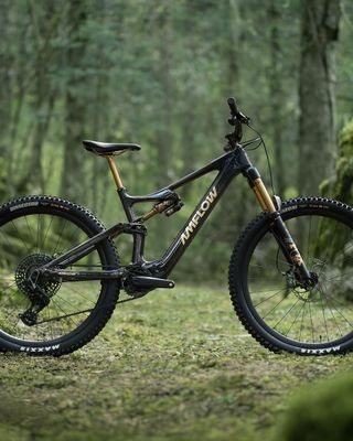 Amflow PL Carbon Pro (800Wh) Talla M,L,XL