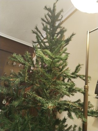 Árbol de navidad