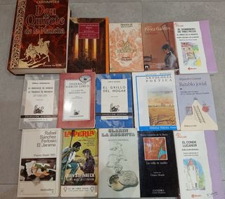 Lote de libros clasicos