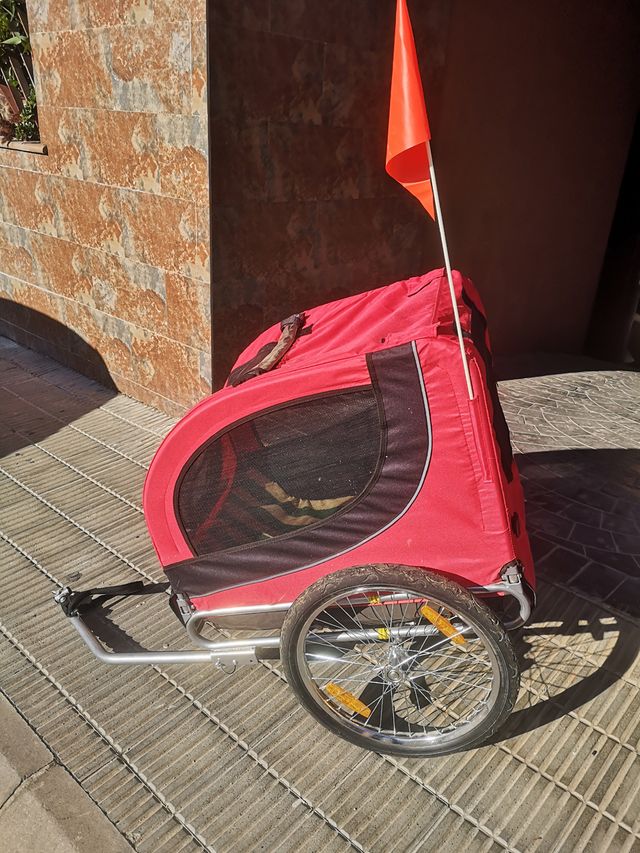 Trasportino per animali praticamente nuovo