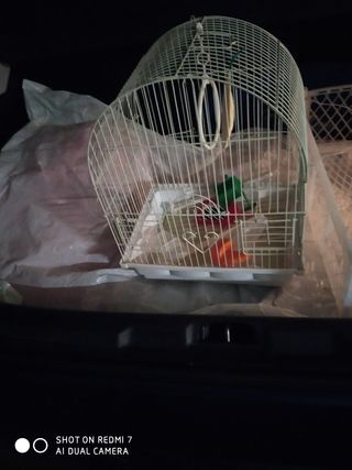 Jaula para pajaros.