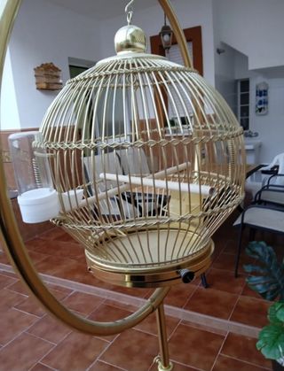 Jaula dorada para pajaro