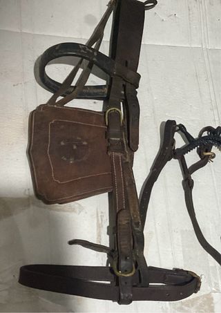 QUITAYPONES CALESEROS