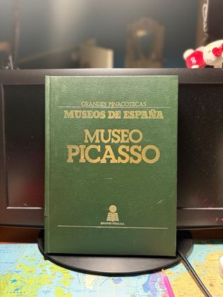 Museo Picasso