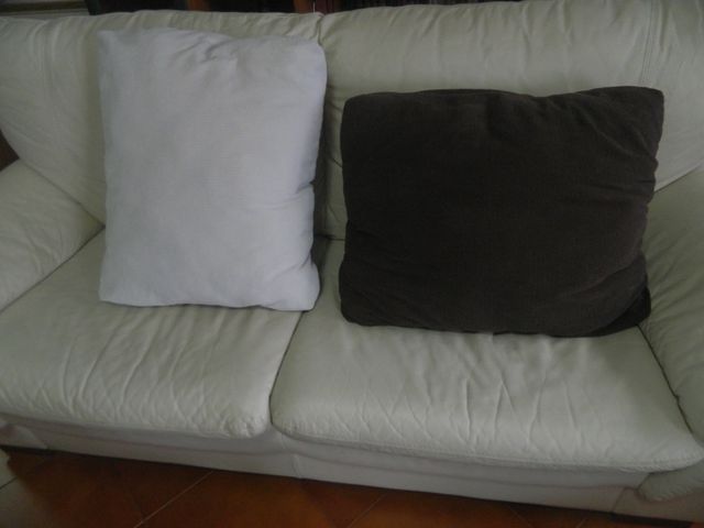 COPPIA CUSCINI SFODERABILI