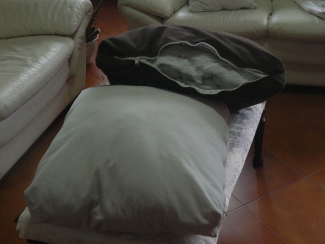 COPPIA CUSCINI SFODERABILI