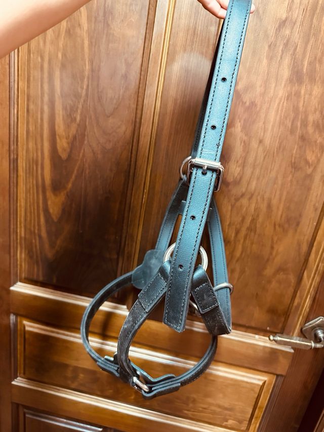 Cabezada caballos resistente biothane