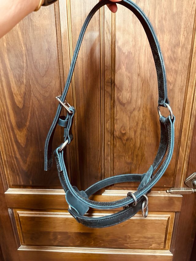 Cabezada caballos resistente biothane