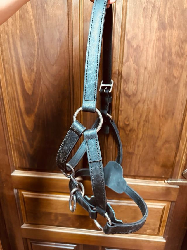 Cabezada caballos resistente biothane