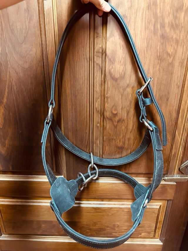 Cabezada caballos resistente biothane