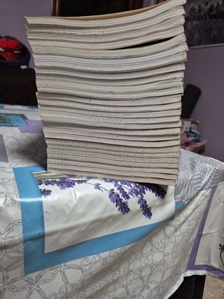 Los muertos vivientes o the walking dead