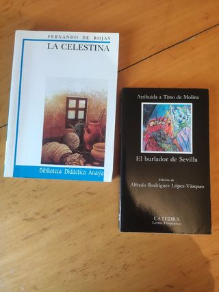 Lote libros clásicos