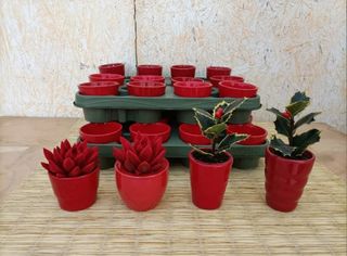 Mini Vaso Rosso ❤️Pianta Grassa🌵