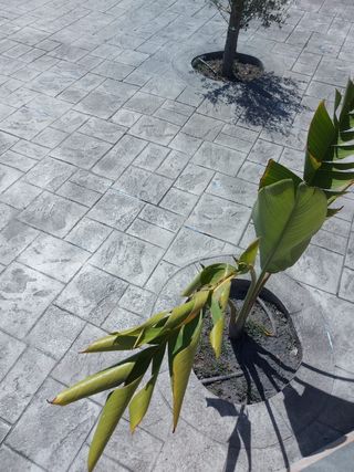 Hormigón impreso Barato