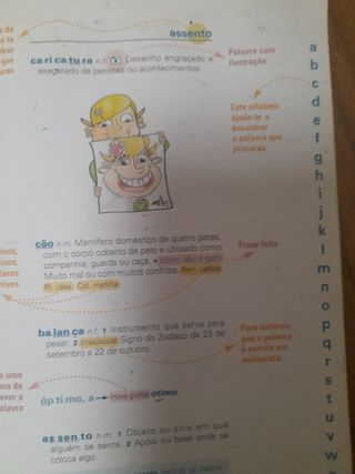 Dicionário escolar maxi ilustrado