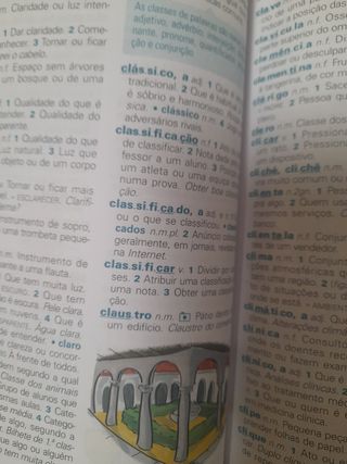 Dicionário escolar maxi ilustrado