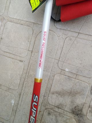 Pesca cefalopodos
