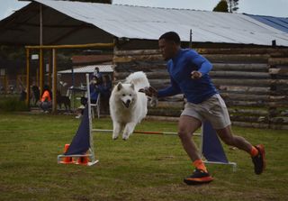 Adiestrador, cuidador y paseador canino
