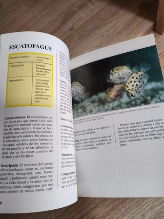 El Acuario Tropical de Agua Dulce