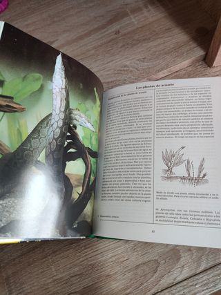 El libro de los acuarios