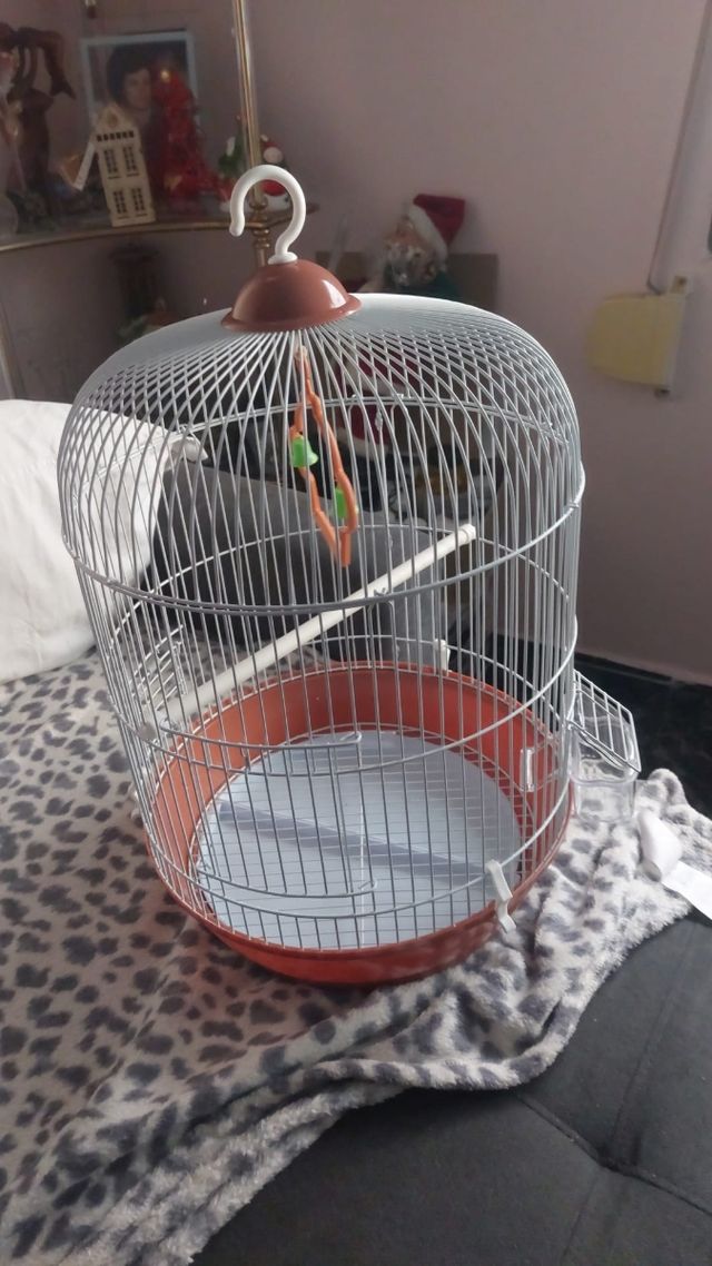Jaula de pájaros 