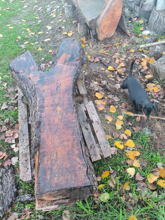 Tablones rústicos únicos!