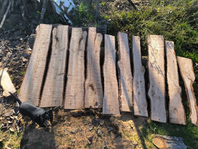 Tablones rústicos únicos!