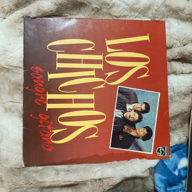 vinilo los chichos sangre gitana