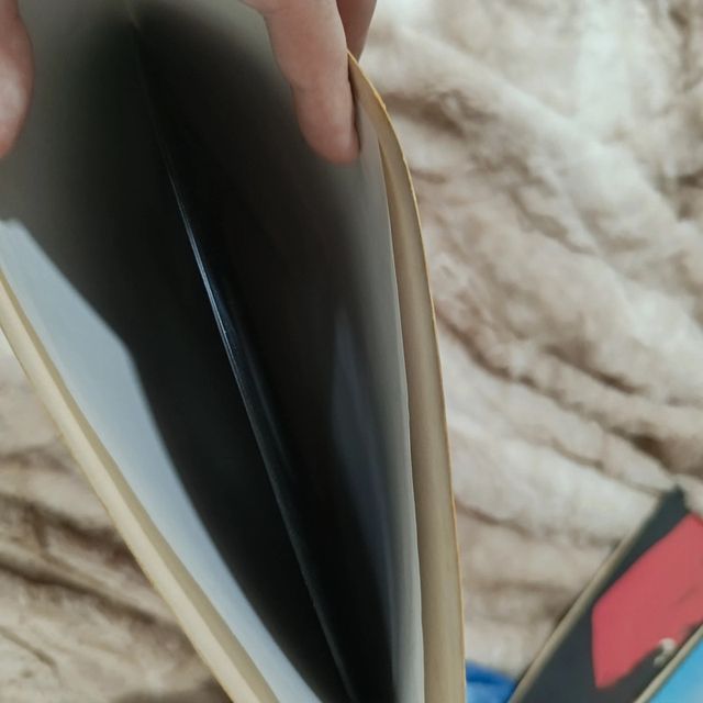 vinilo los chichos sangre gitana