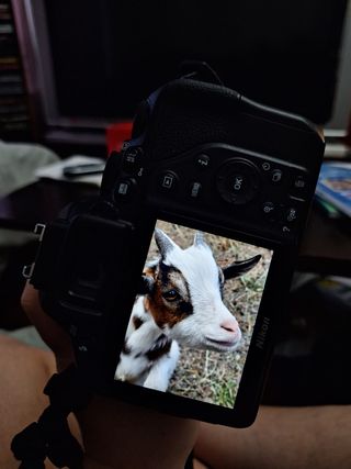 Cámara Nikon D3500