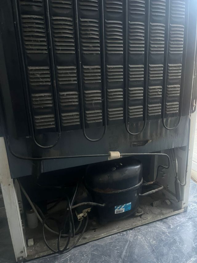 Frigorífico casi gratis no Frost