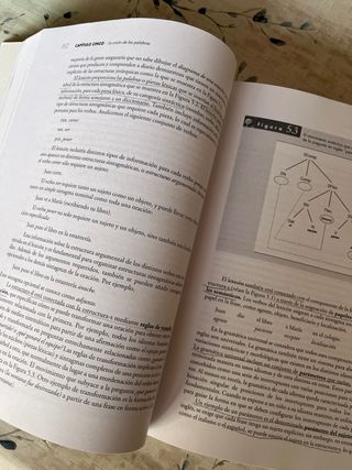 DESARROLLO DEL LENGUAJE