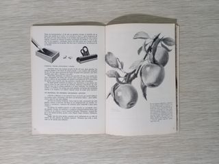 Primeros Pasos En Dibujo Artistico (Spanish Edition)