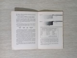 Primeros Pasos En Dibujo Artistico (Spanish Edition)