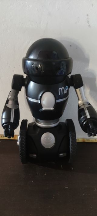 Lote robots