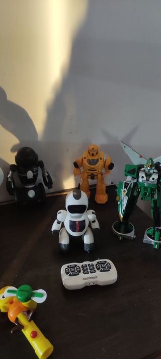 Lote robots