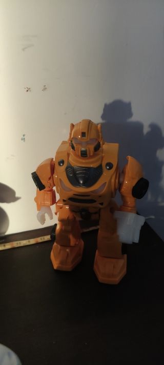 Lote robots