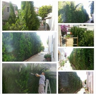 Jardinero económico 