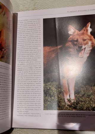 Enciclopedia "Los animales, los protagonistas de "