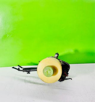 6Q0423156S Bomba Direccion Seat Ibiza 6L 
