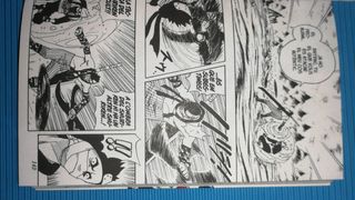 Naruto Català nº 02/72 anime manga