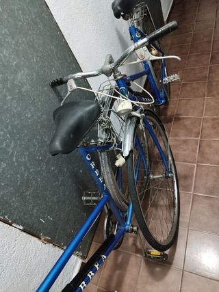 Dos Bicicleta Orbea