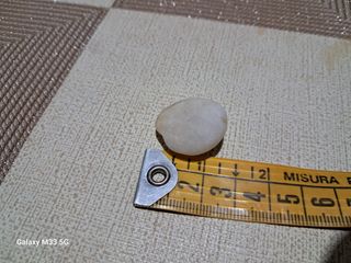 Collezione minerali Quarzo bianco