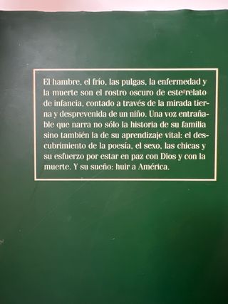 Libro LAS CENIZAS DE ANGELA