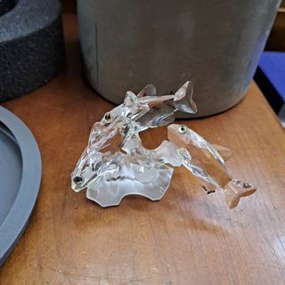 Swarovski pesci del sud